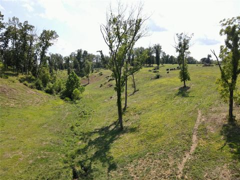 Tiny photo for 73 New London Gravel Road, Hannibal, MO 63401 (MLS # 24049856)