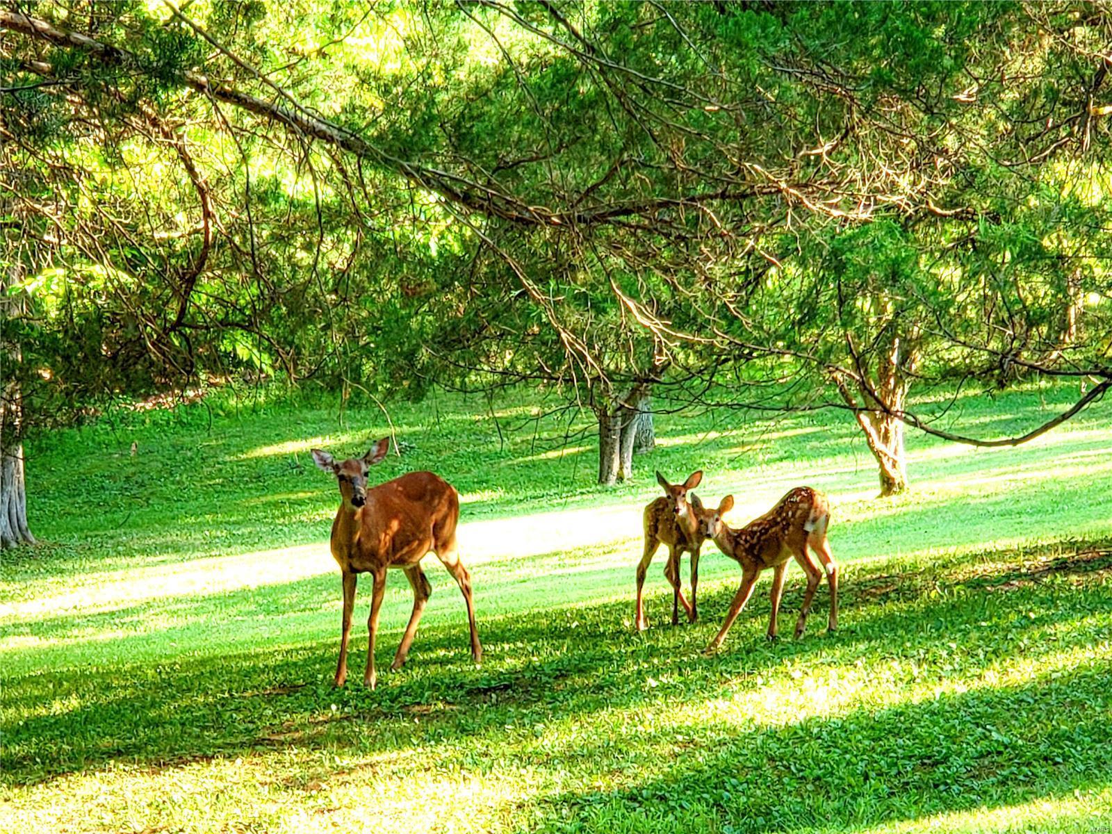 Deer Pointe Estates - Residential