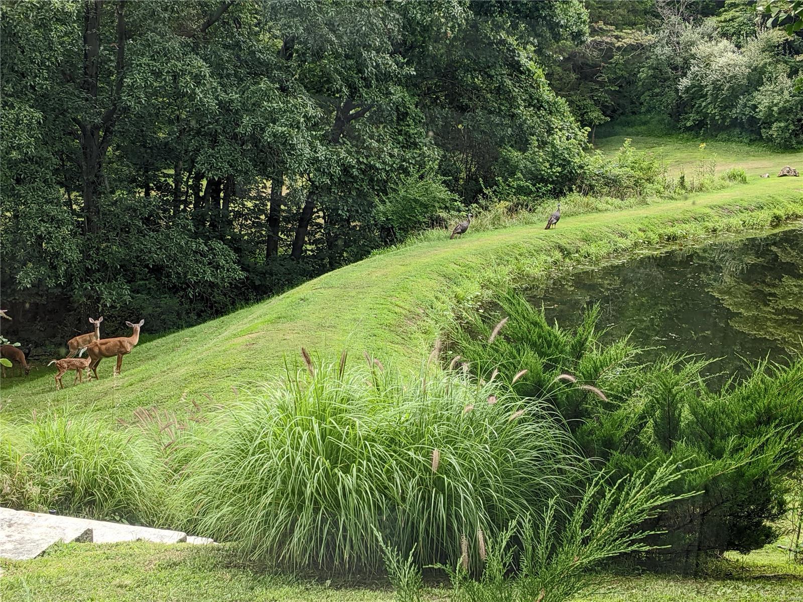 Deer Pointe Estates - Residential