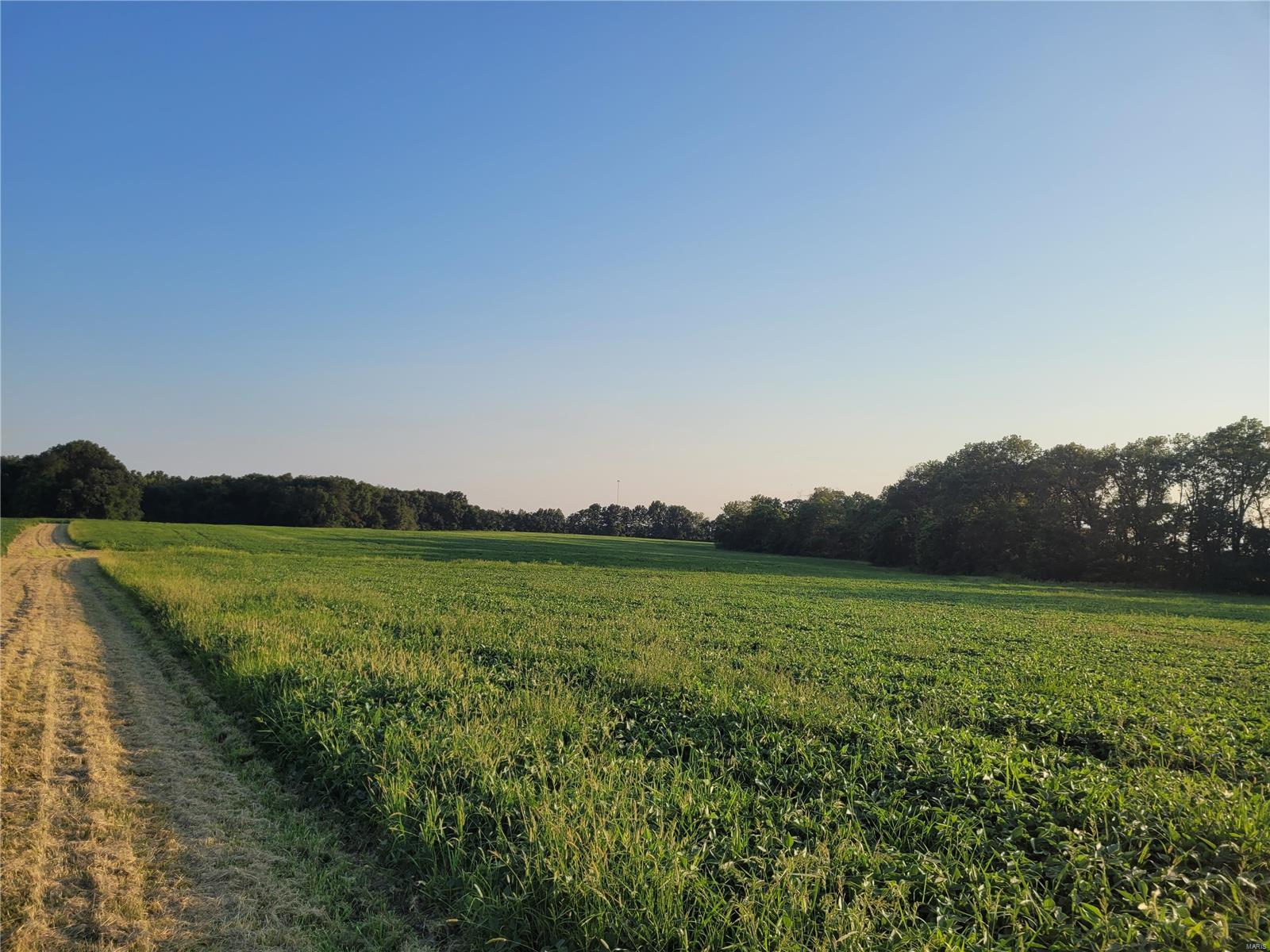 0 Hwy DD (85.69+/- Ac) Tract E