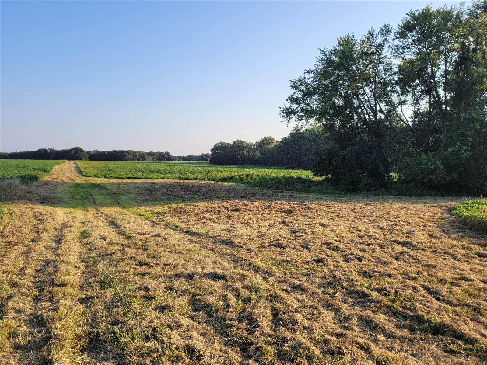 0 Hwy DD (85.69+/- Ac) Tract E