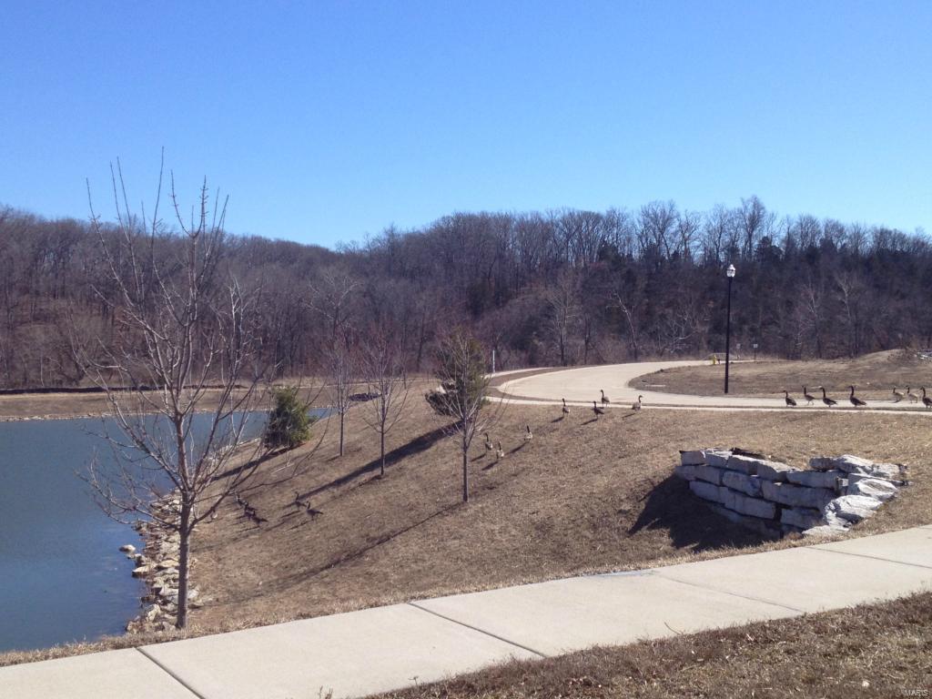 The Manors at Wilmer Valley - Residential