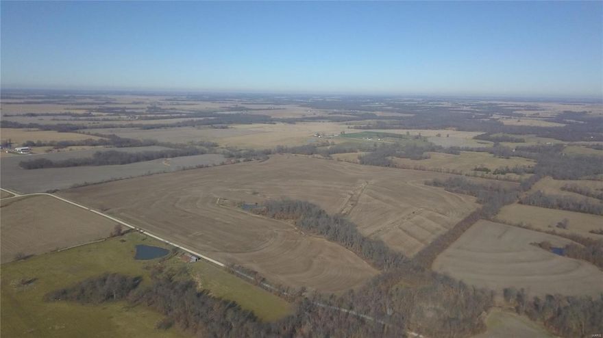 170 ACRES +/- TILLABLE ROW CROP FARM | MONROE COUNTY
This farm consists of 170 acres with approximately 147 FSA acres +/-  tillable row crop. It is located about 1 mile off the blacktop. Soils consist of Mexico, Leonard and Armstrong. Farm is available for the 2021 crop season. Offers some deer and turkey hunting as well.