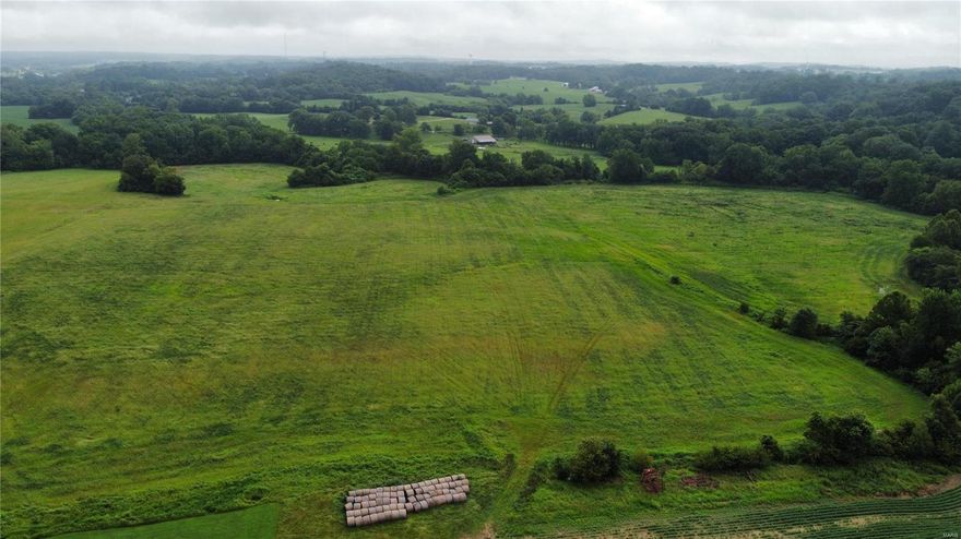 36 beautiful acres and a newly installed gravel drive, located in between Jackson and Cape Girardeau, in the Jackson School District that is full of options. Seller will consider dividing into two 18 acre parcels.  Currently being used for hay, but could be developed similar to the neighboring land or just build a single home on a serene landscape.  Crops, Cattle or land to have and enjoy sunny summer days next to the boundary creek are just a few of the potential possibilities. 11 acres next to the creek in the bottom of the property is defined as flood plain, though no flooding has been noted and areas next to the creek are now used for recreation.  This amount of acreage in this area does not come available very often, don't miss your chance to own a wonderful piece of Cape County.   (This land is two parcels #15-400-20-00-00700-0000 and #15-400-20-00-00500-0000 in Cape Girardeau County.)