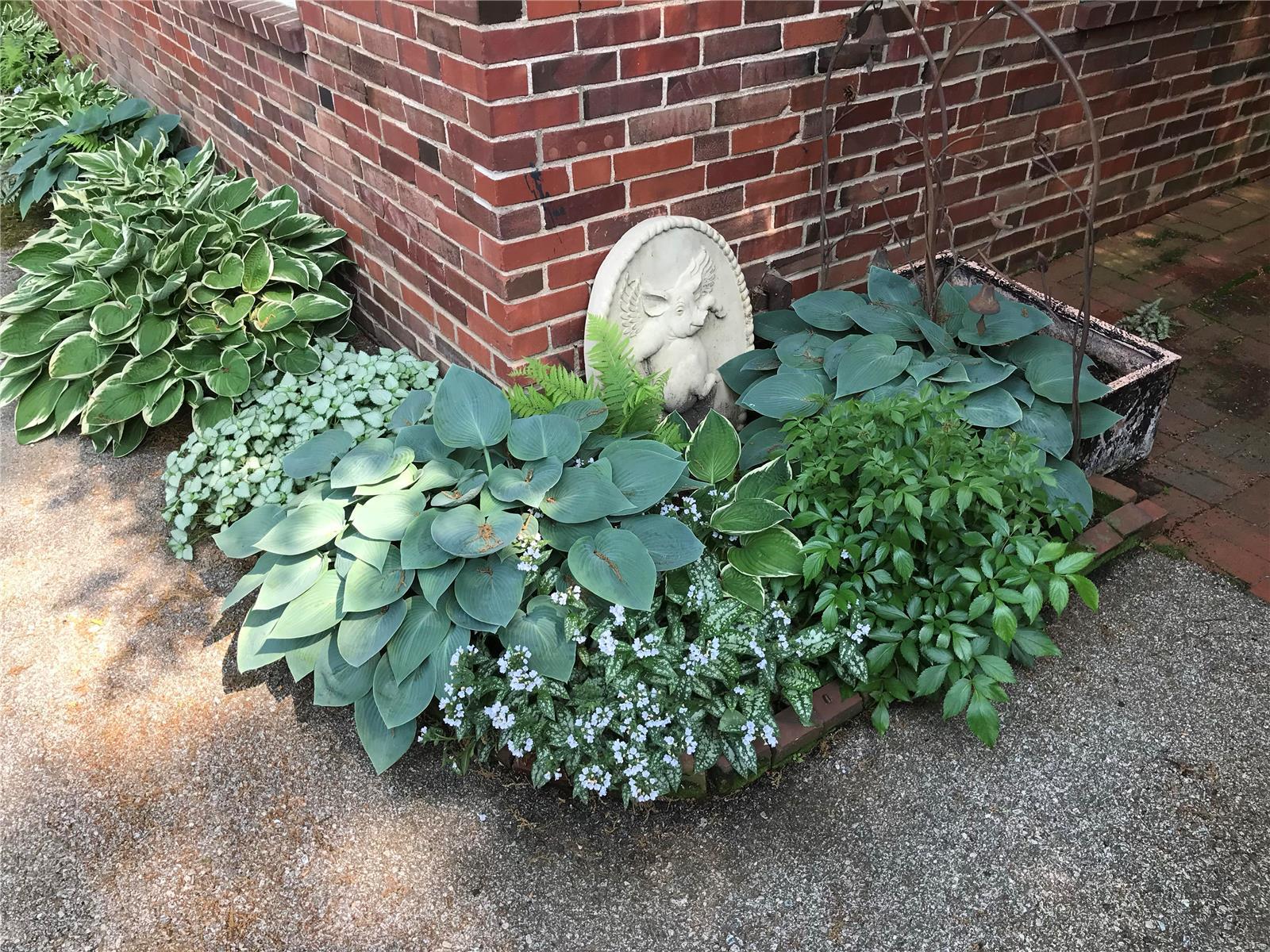 Briarcliff - Residential