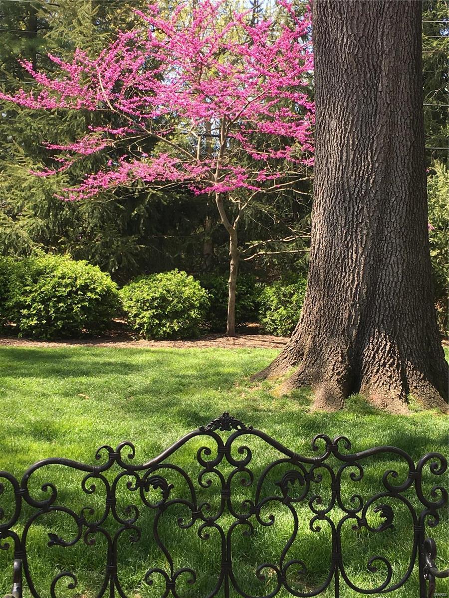 Briarcliff - Residential