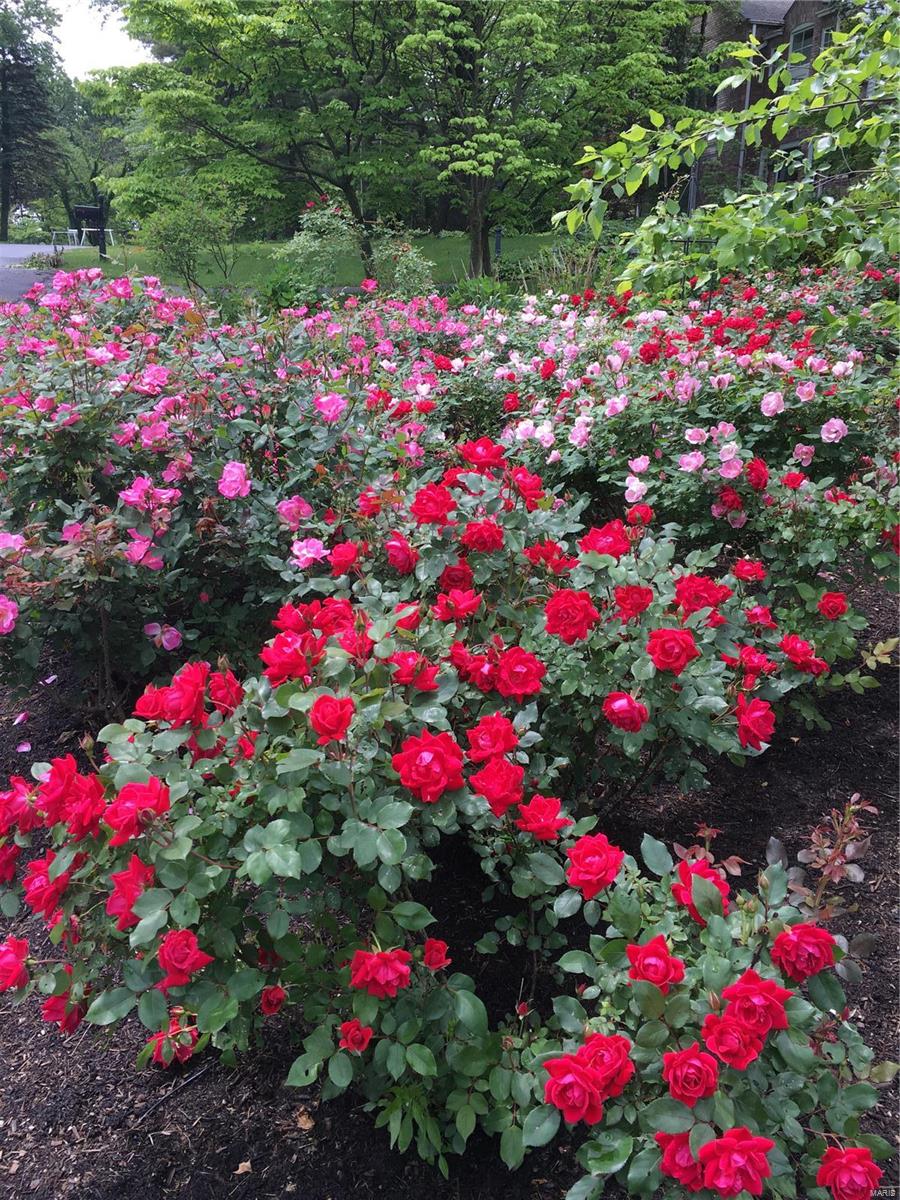 Briarcliff - Residential