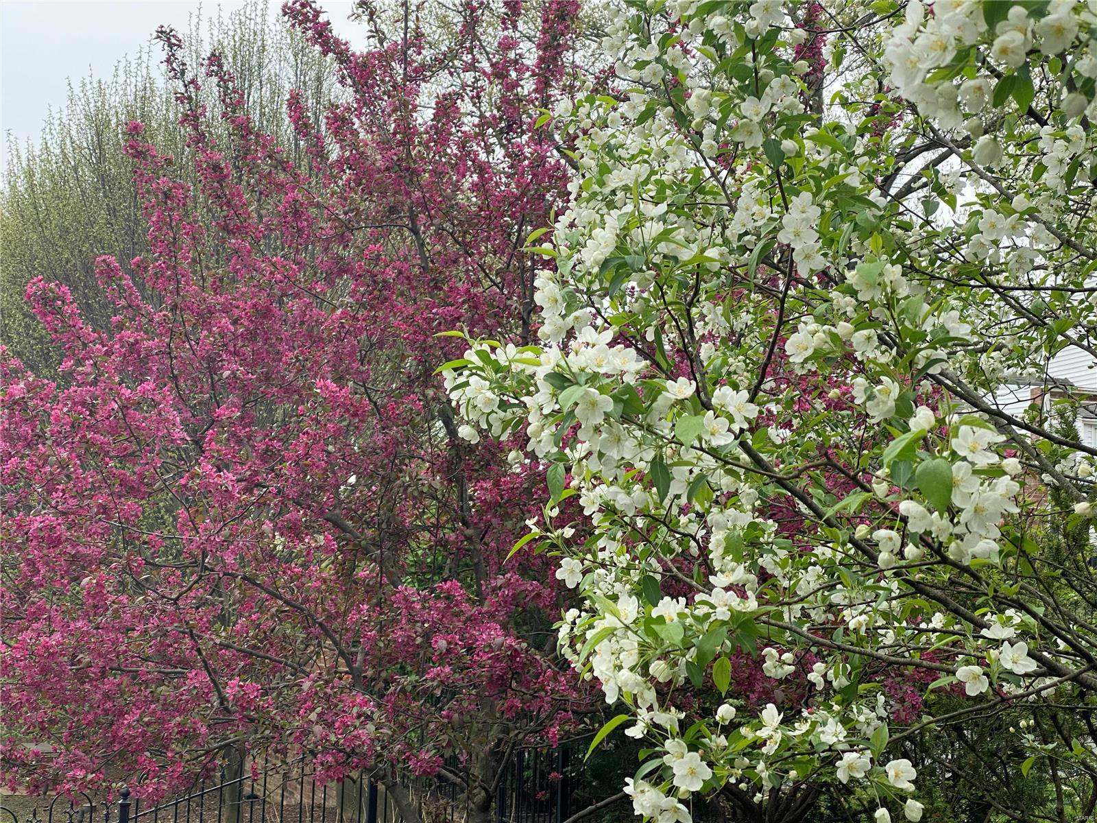 Briarcliff - Residential