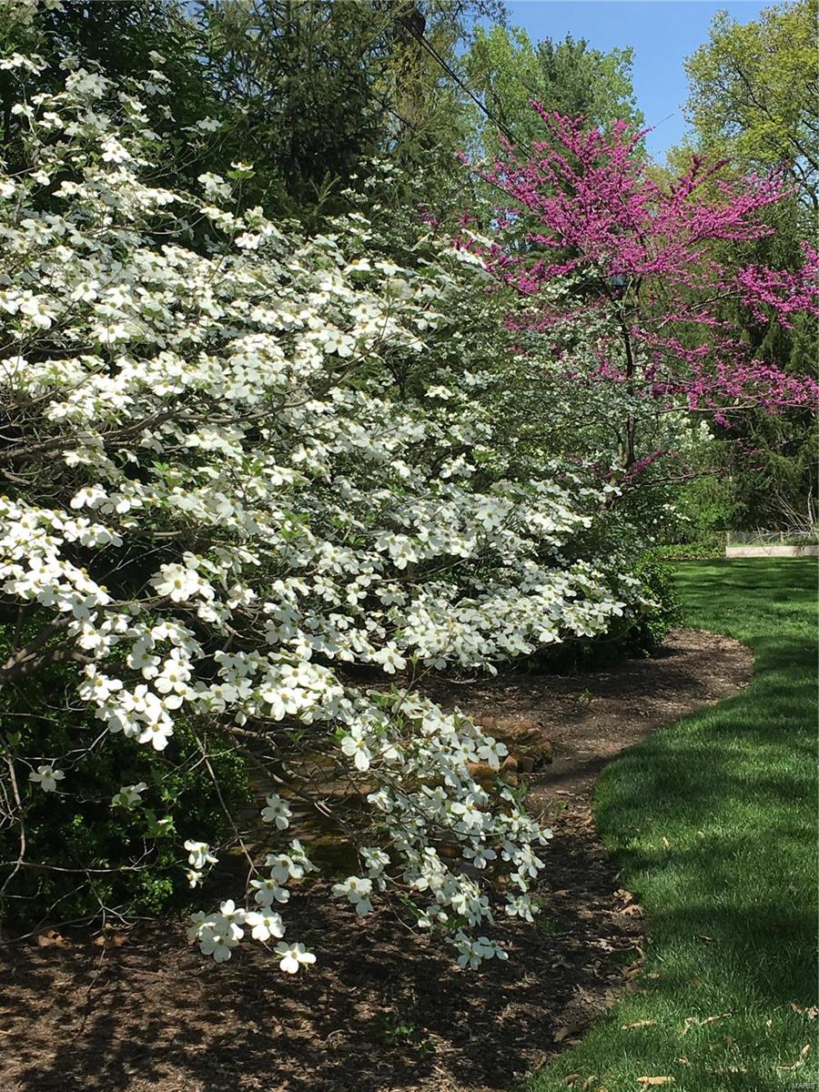 Briarcliff - Residential