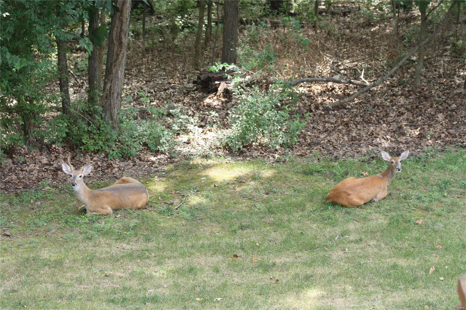 Woodhill Two - Residential