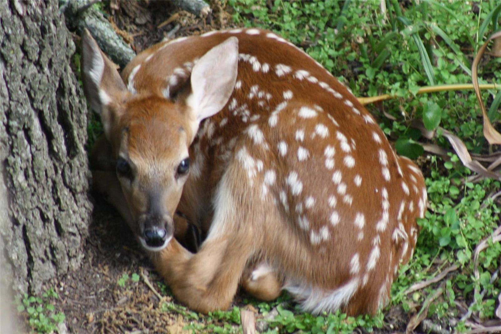 Woodhill Two - Residential