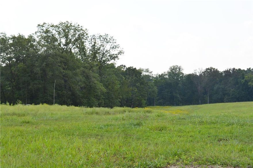 Gorgeous 10 acre lot perfect for your dream home. Bring your builder - bring your plan! Additional acreage available for purchase. Quiet and private setting! Beautiful acreage! Hillsboro School District!