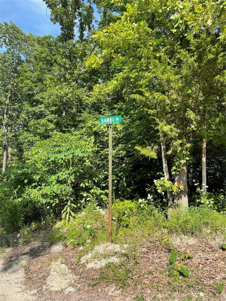 Twin Fawn Estates - Land