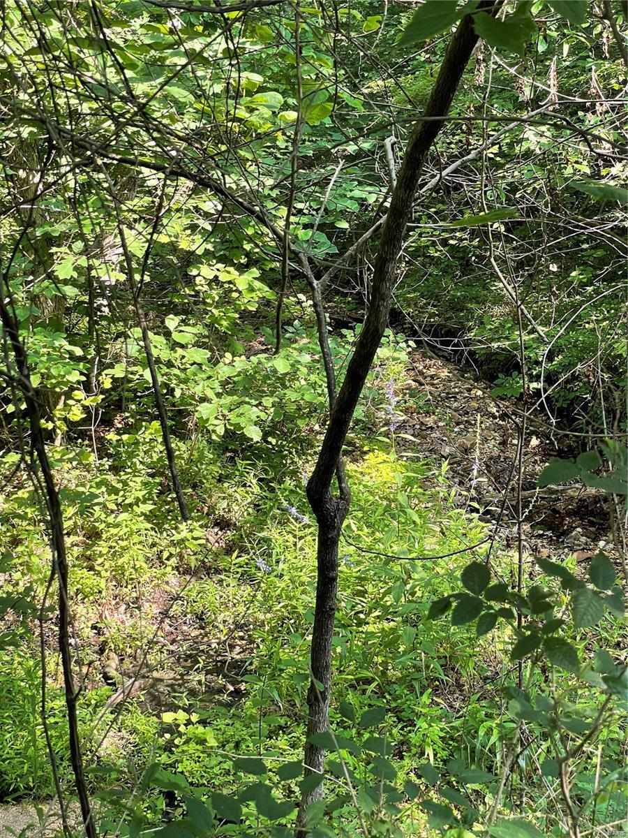 Twin Fawn Estates - Land