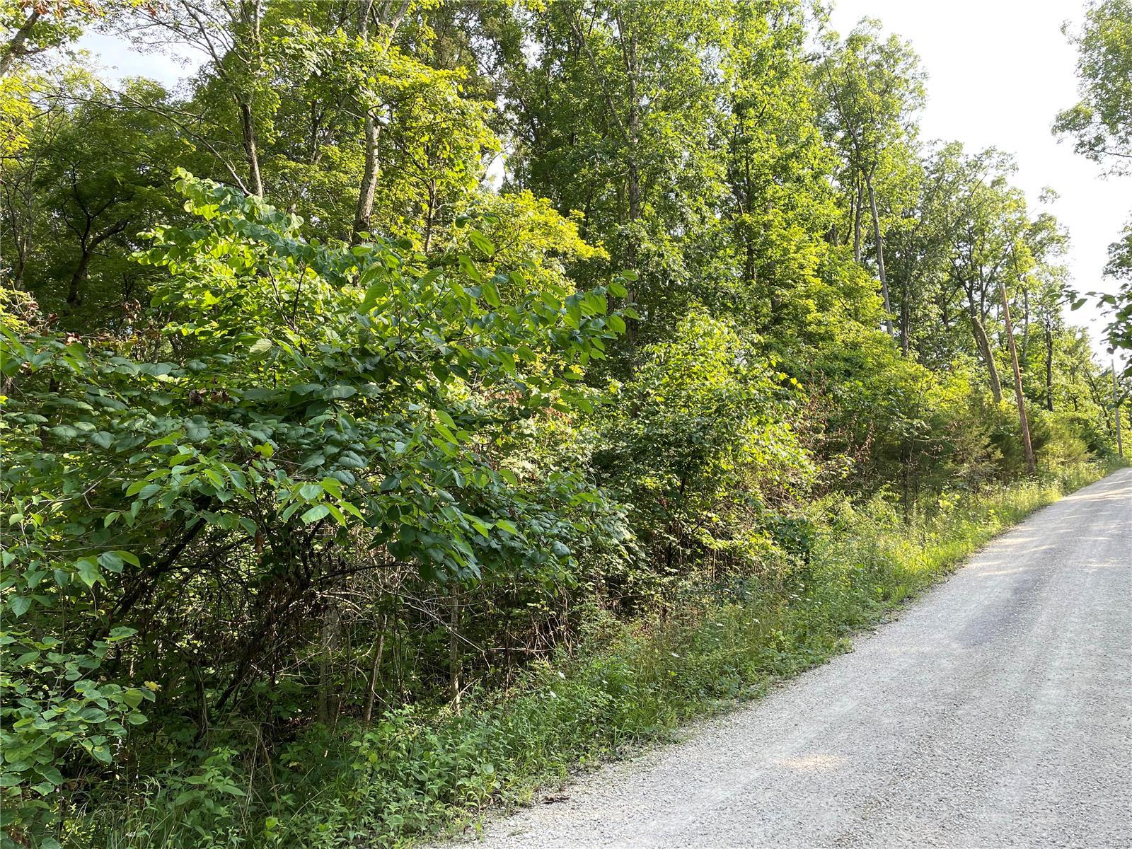 Twin Fawn Estates - Land