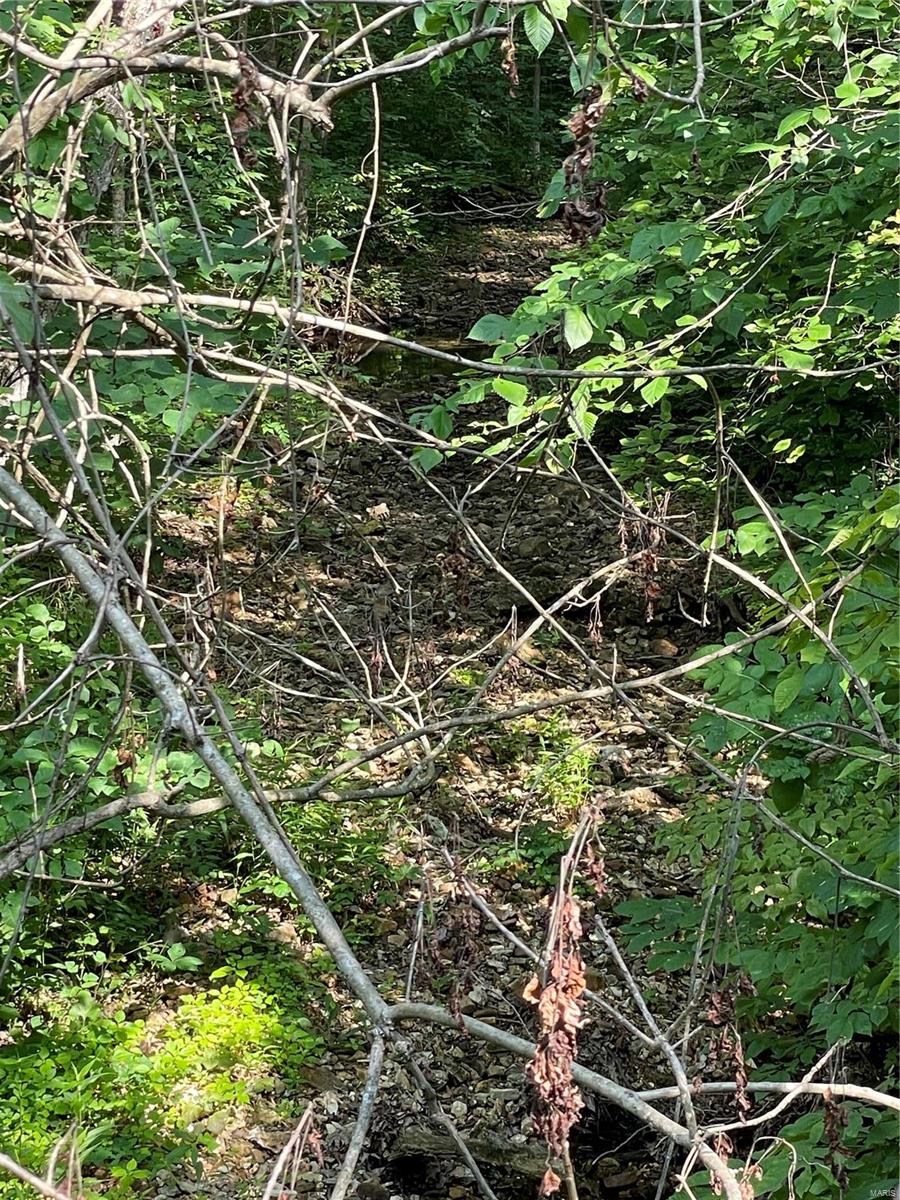 Twin Fawn Estates - Land