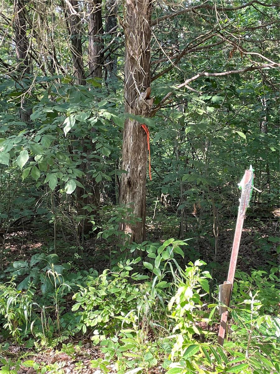 Twin Fawn Estates - Land