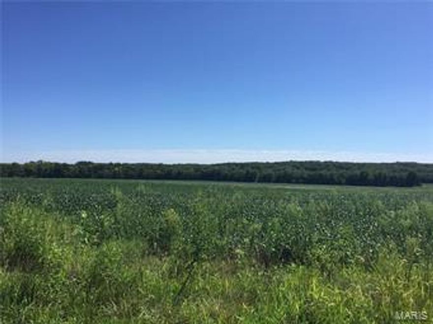 A 189.35+/- acre (five parcels in total) working farm with a large ranch style 2,245+/- SF residence with a two-car attached garage, and with a small collection of agricultural buildings and sheds totaling about 2,688+/- SF. Public electric, phone service, well, septic and LP gas is available to the front 4.39+/- acres of the subject property where the residence is located. Also included is some fencing, some gravel roads and about a one-acre lake. About 63% of the total acreage is considered tillable, with the remainder in pasture, lake, some small creeks or brooks and about 70+/- acres of wooded areas and tree-lines. The property is in eastern Warren County near the far northwest part of the Metro St. Louis Area, in a primarily rural area of the region that has been transitioning rather quickly in recent years from a primarily rural area, on the perimeter of the region’s growth, towards a more suburban type area in the main path of the region’s suburban growth.