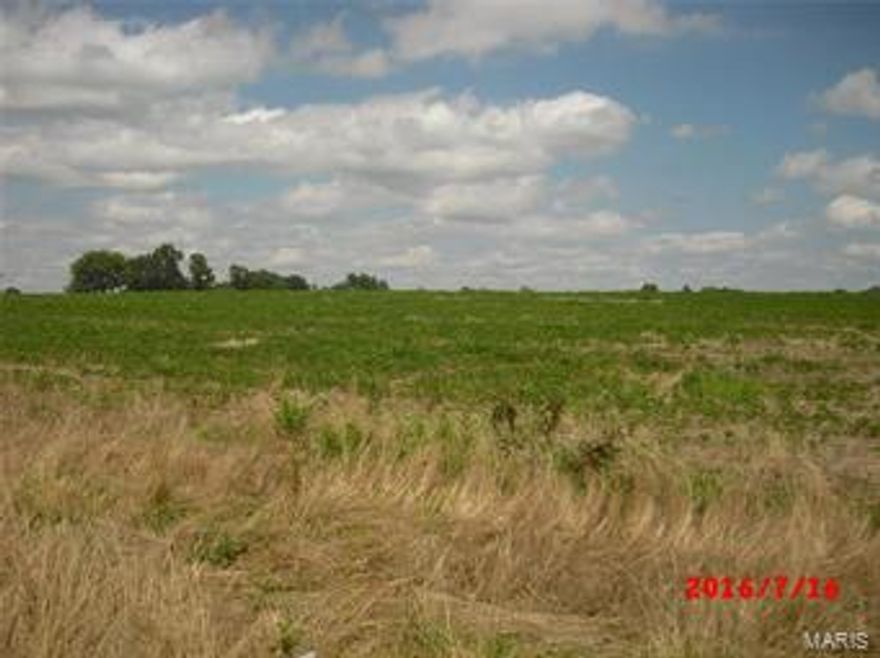 95.2 Surveyed Acres in Shelby County. If you are looking for a nice tillable farm then you have found it. There are 85 acres tillable per the Owner/Farmer. The Owner will rent it back with a 3 or 5 year least at $215 per acre payable 1/2 in spring & 1/2 in fall or for $210 per acre all upront in the Spring. The Farm shows a 5% return is nice laying with predominant soils of Mexico Silt Loam, Putnam, Leonard Class 2 or 3 soils.