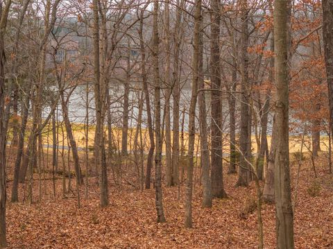 970 Aspenetter View Drive Innsbrook MO 63390