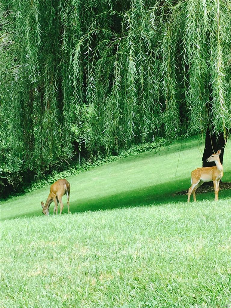 Parkside Condo - Residential