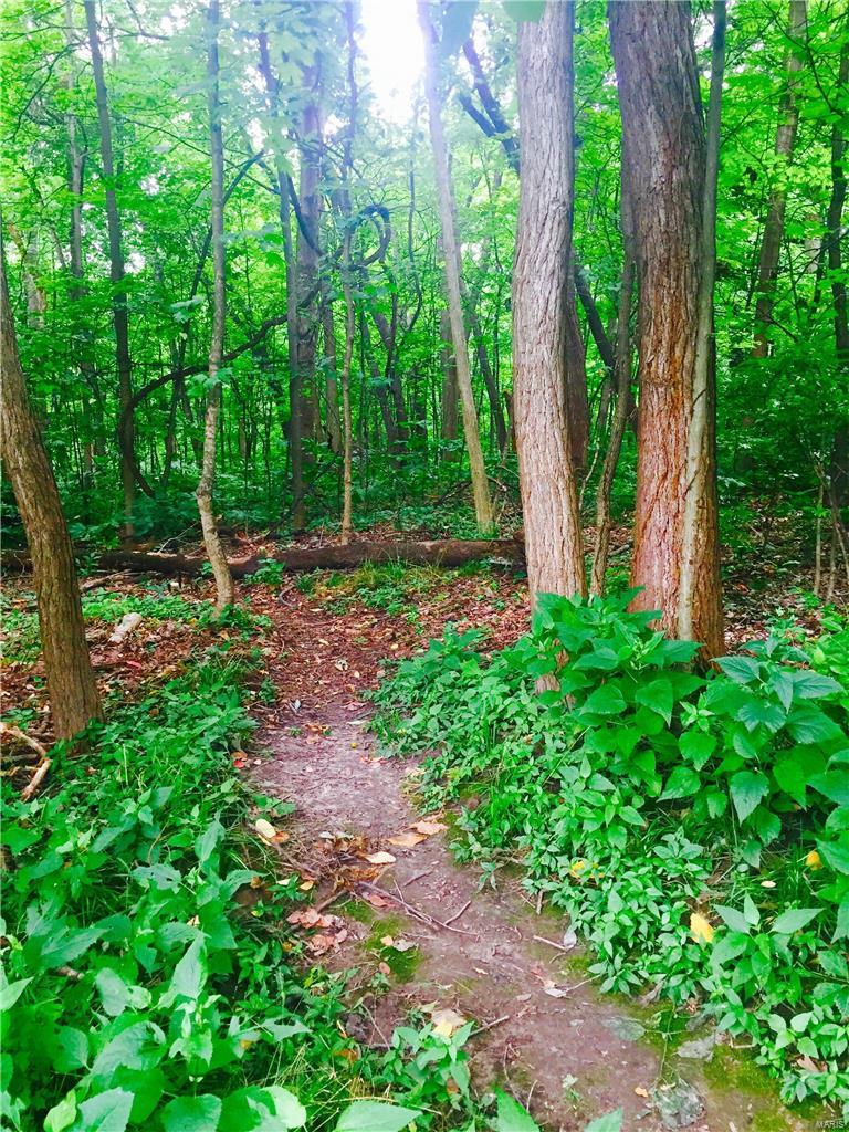 Parkside Condo - Residential