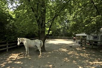 David Fink Estate - Residential