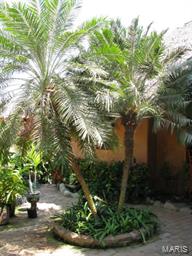 Country of Mexico - Residential