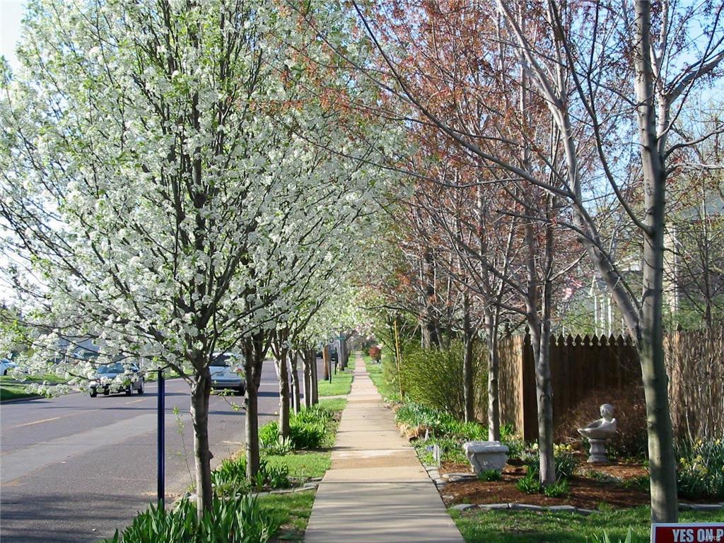 Kirkwood - Residential