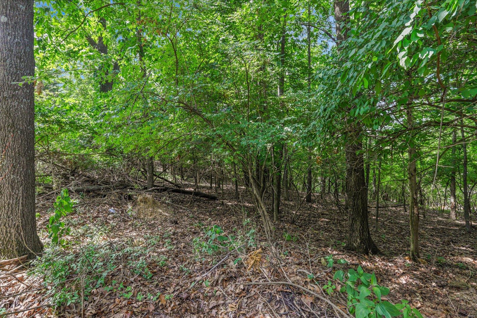 1185 Scheel Lane