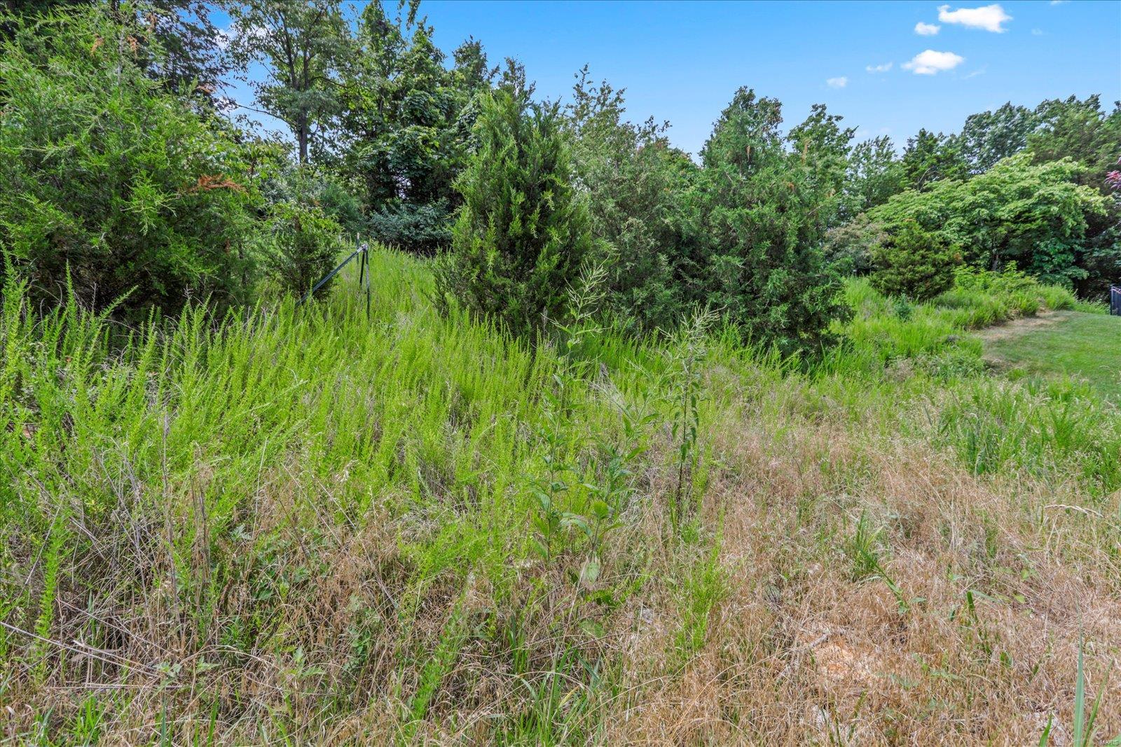 1185 Scheel Lane