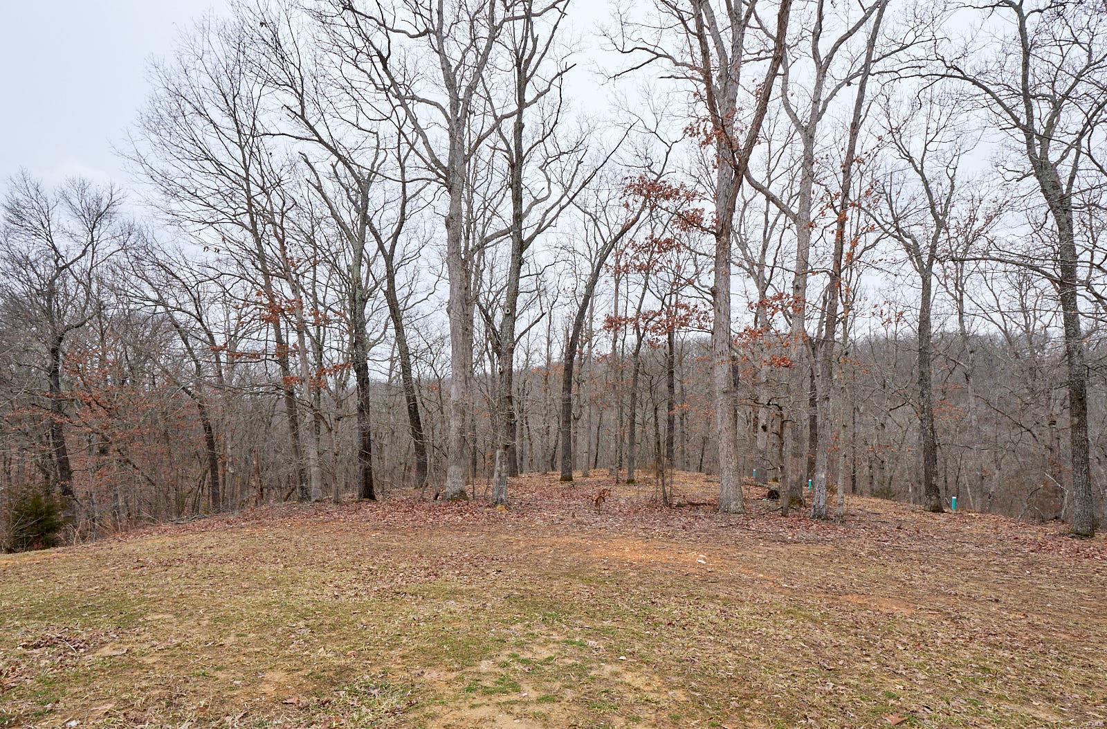 Manors At Kohlers Grove - Residential