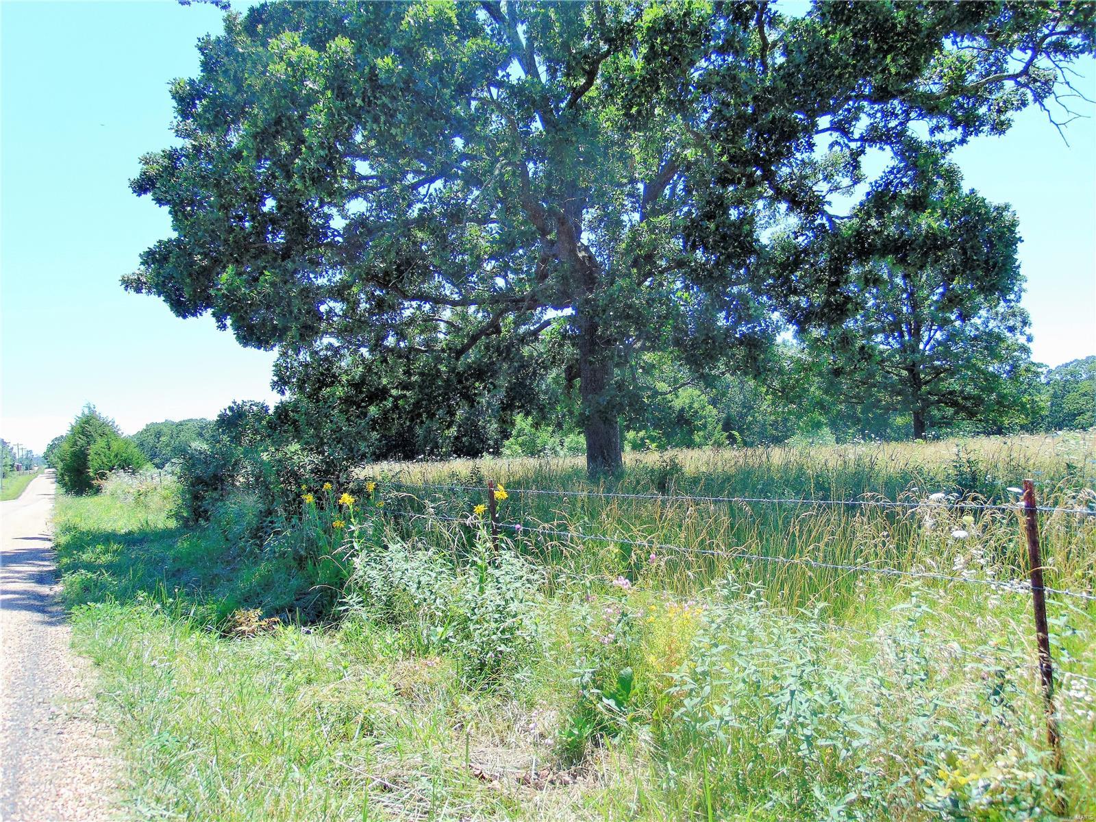 Country - Farm