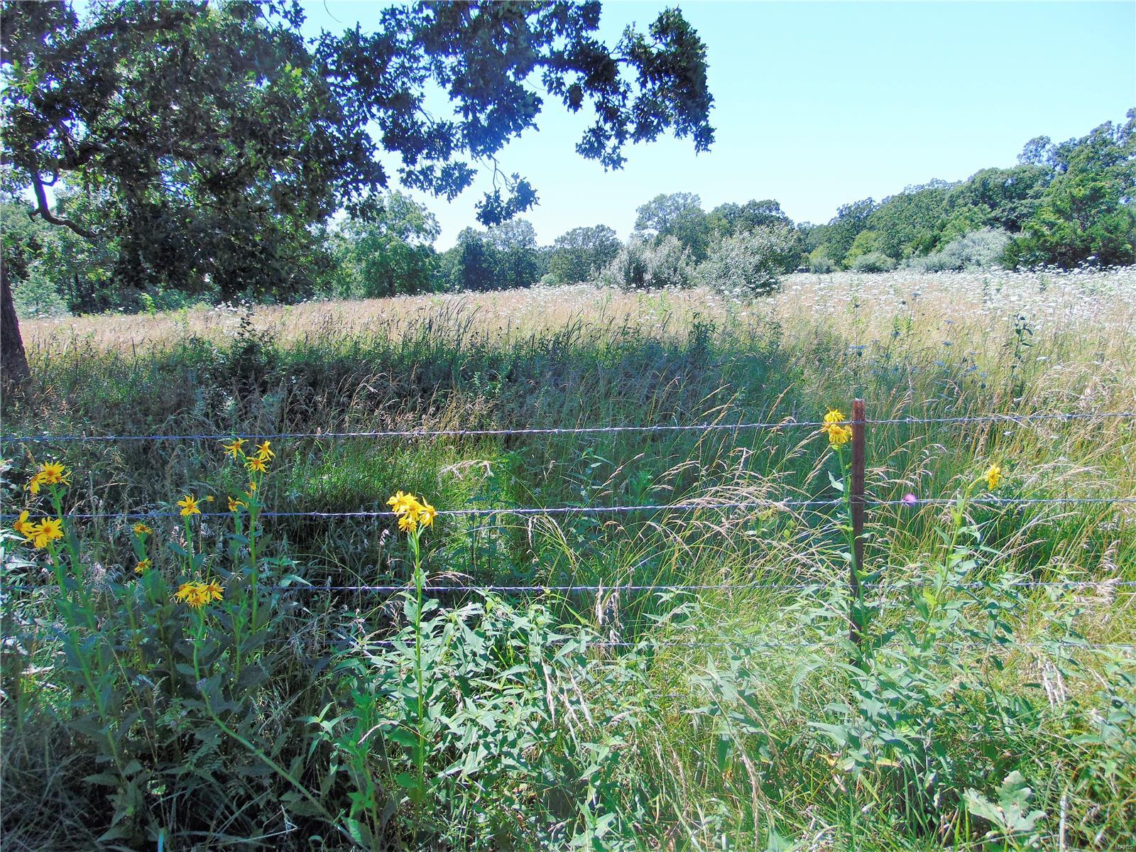 Country - Farm