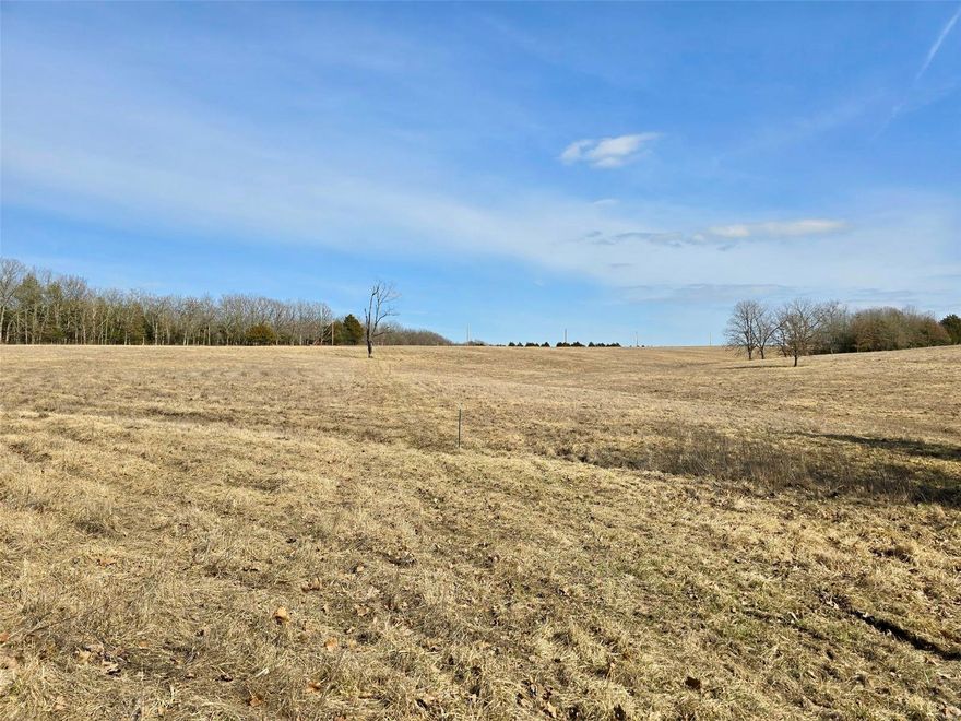 Lovely build site on Tract 2 consisting of 20.45 surveyed acres with highway frontage.  Located conveniently between Salem and Rolla, Missouri making this an ideal location for country living with an easy commute.  Partial fencing, electric on site, shared deeded easement driveway, pasture, woods, wet weather creek, Dent-Phelps R-3 school district.  Address & taxes to be determined.  Restrictive covenants to convey.  Owner financing available, call for terms.  Additional tracts available.
