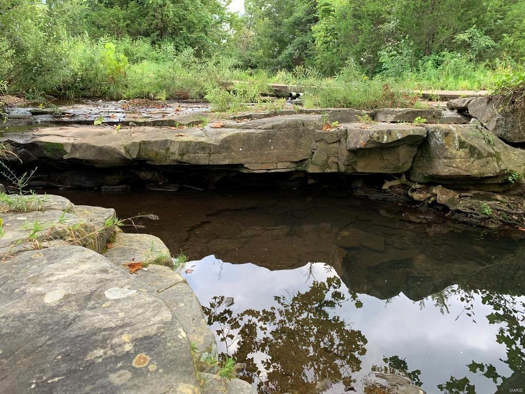Meadows at Spring Creek - Farm