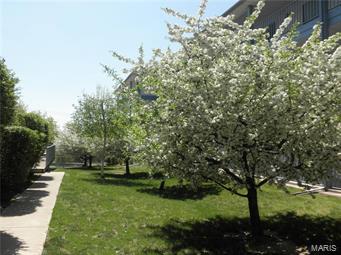 Holiday Terrace Apartments - Residential Income