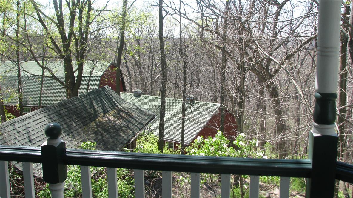 Big Tree - Residential