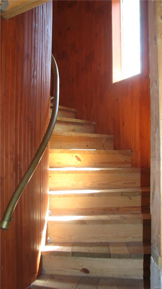 Big Tree - Residential