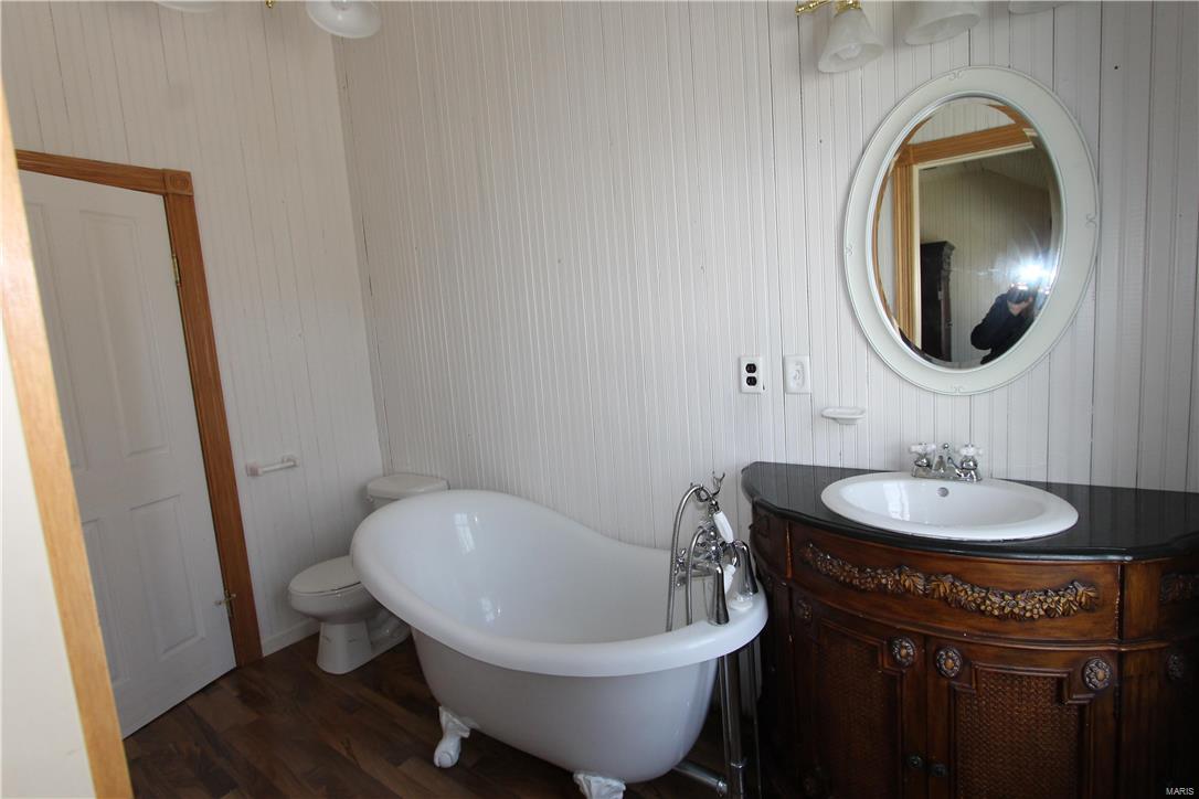 Big Tree - Residential