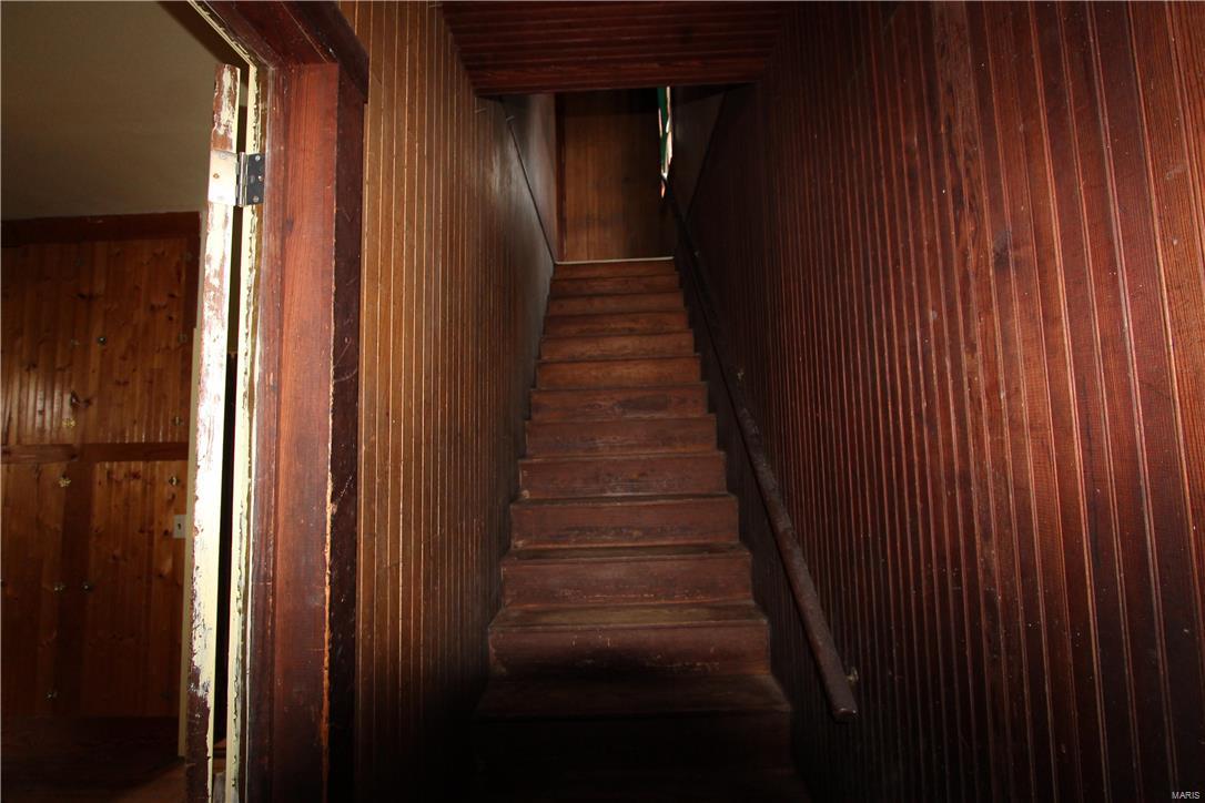 Big Tree - Residential