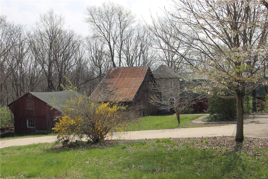 Big Tree - Residential