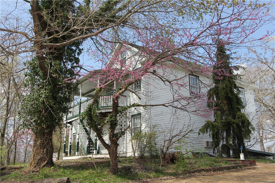 Big Tree - Residential