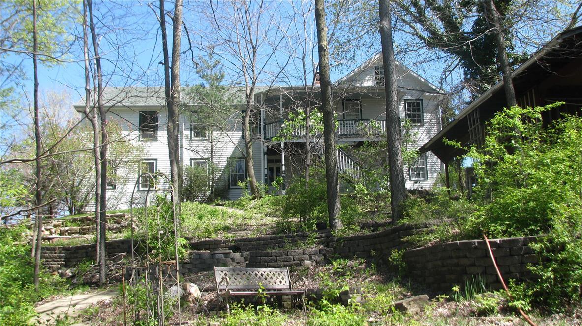 Big Tree - Residential