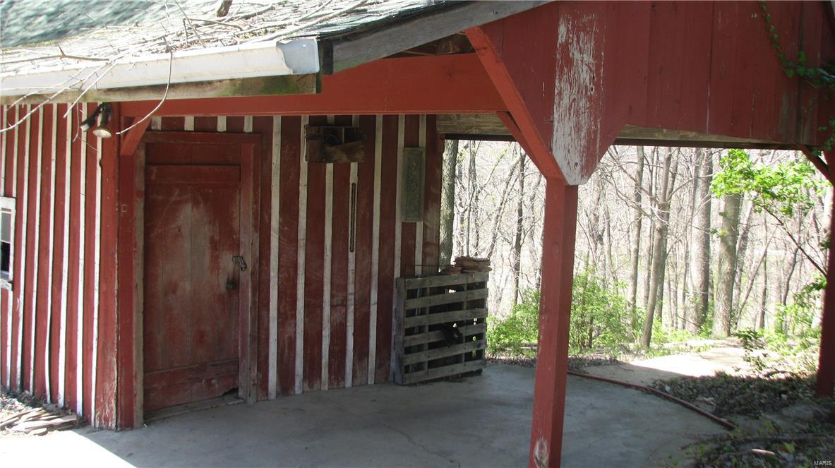 Big Tree - Residential