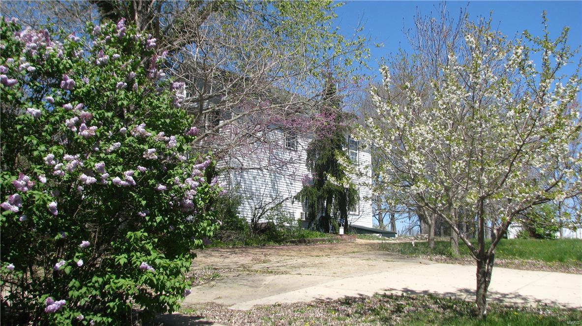 Big Tree - Residential