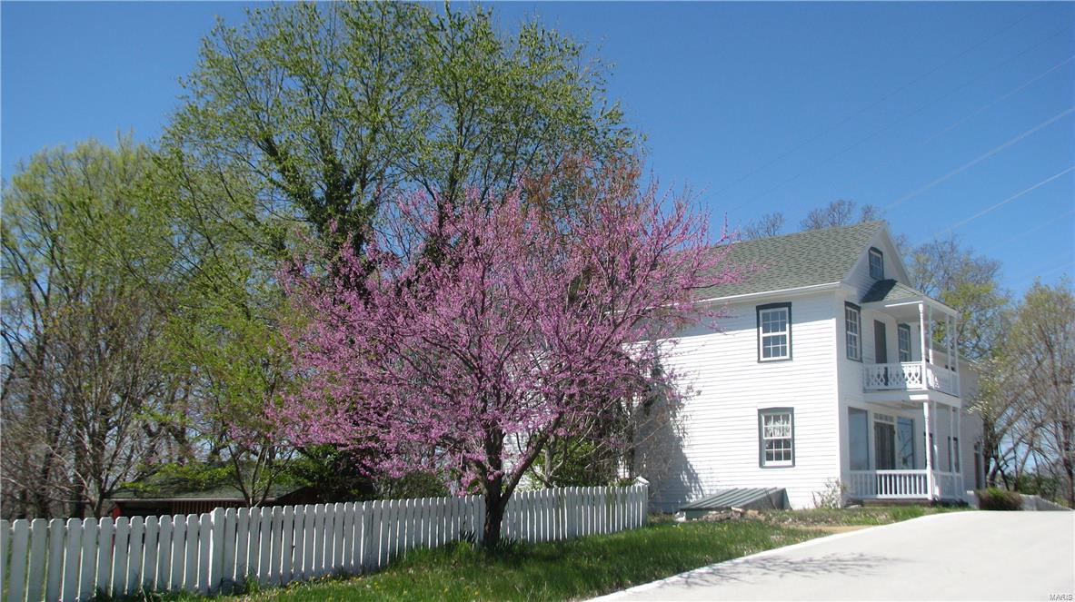 Big Tree - Residential