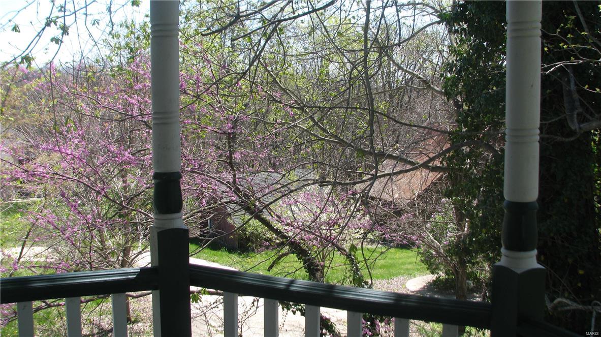 Big Tree - Residential