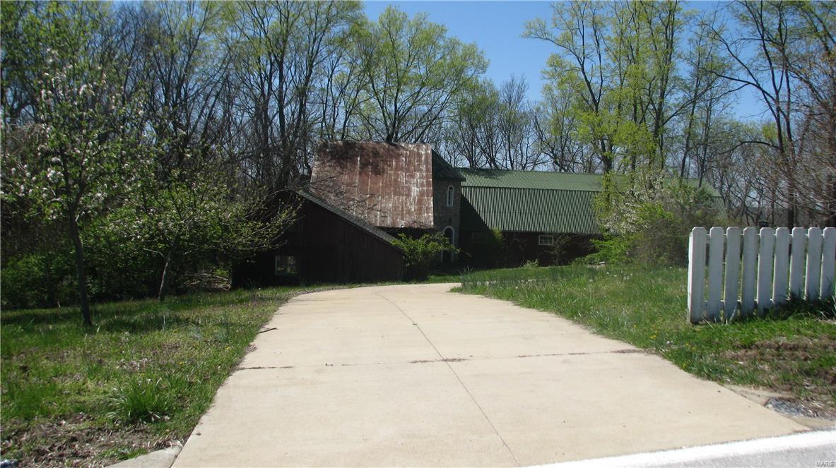 Big Tree - Residential