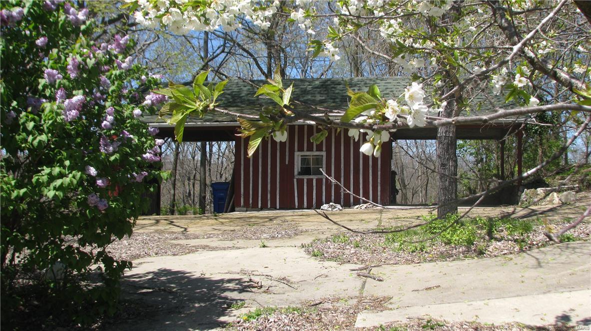 Big Tree - Residential